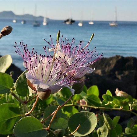 Zaffiro Lavico Rooms Etna Nature Sea Ачиреале Екстер'єр фото